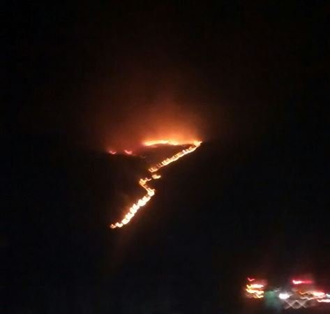 Incendio-forestal