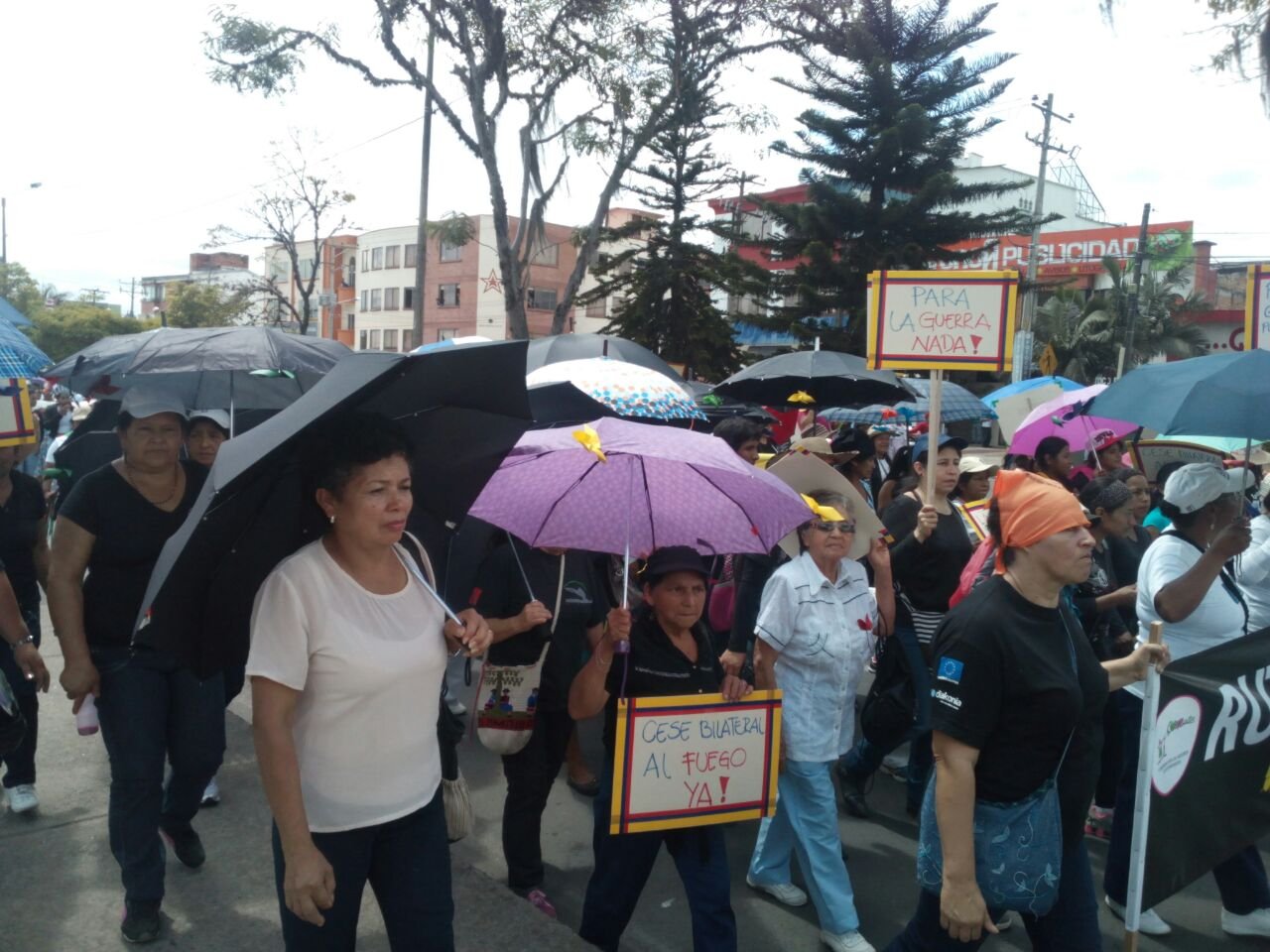 MARCHA POR LA PAZ 2