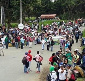 Movilización Campesinos