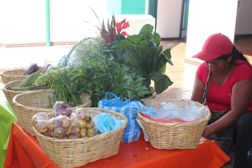 MERCADO ORGANICO EN EL ACUEDUCTO DE POPAYAN 4