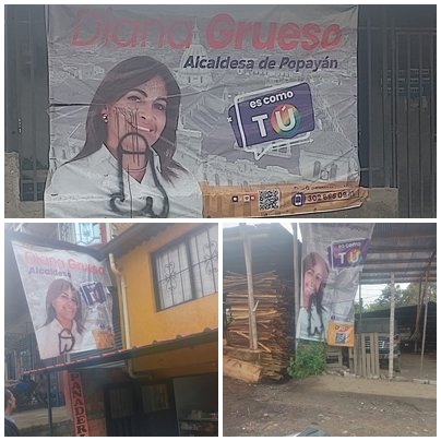 DIANA GRUESO VANDALIZADA